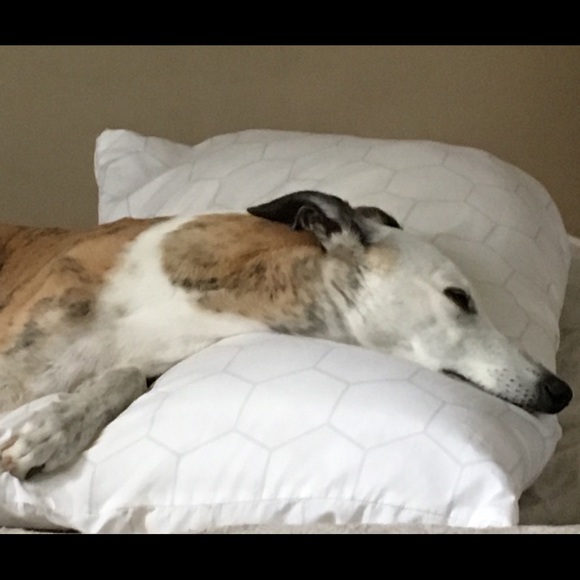 Meet your Posher, Deb - Picture 1 of 1